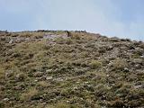 Colle delle Finestre e Assietta - 177